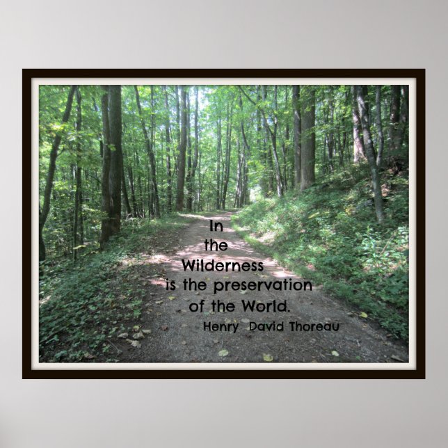 In the wilderness: quote by Henry David Thoreau Poster (Front)