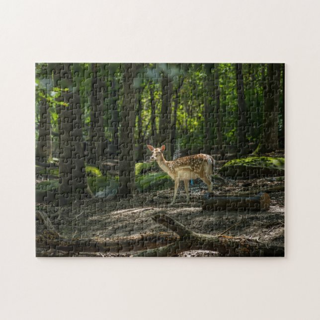 In the Woods Jigsaw Puzzle (Horizontal)