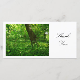 In the Woods - Thank You Card