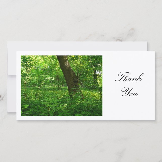 In the Woods - Thank You Card (Front)