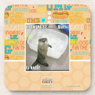 In there? Is Kold! Coaster