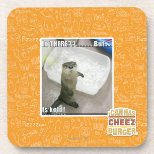 In there? Is Kold! Coaster