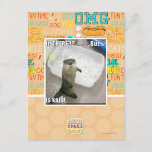 In there? Is Kold! Postcard