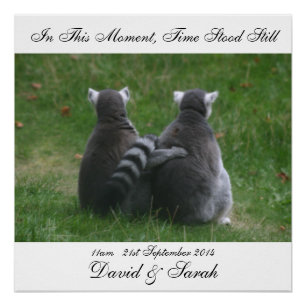 In this moment, time stood still - Lemur Love Poster