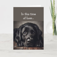In this Time of Loss, Scripture Comfort Sad Dog