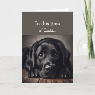 In this Time of Loss, Scripture Comfort Sad Dog Card