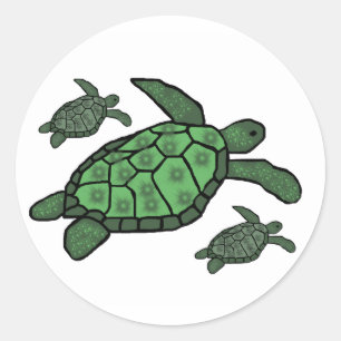 In Triple sea turtles stickers