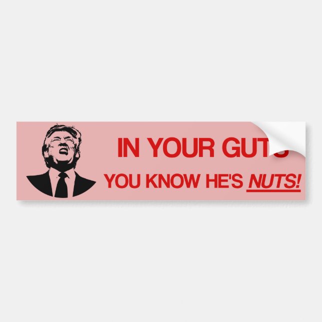 In Your Guts You Know He's Nuts (Anti Trump) Bumper Sticker (Front)