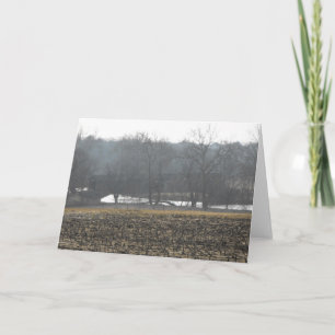 In Your Words ~ 11 Holiday Card