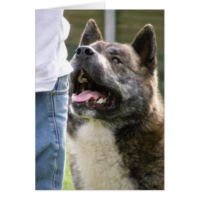 Inca looking up (Front)