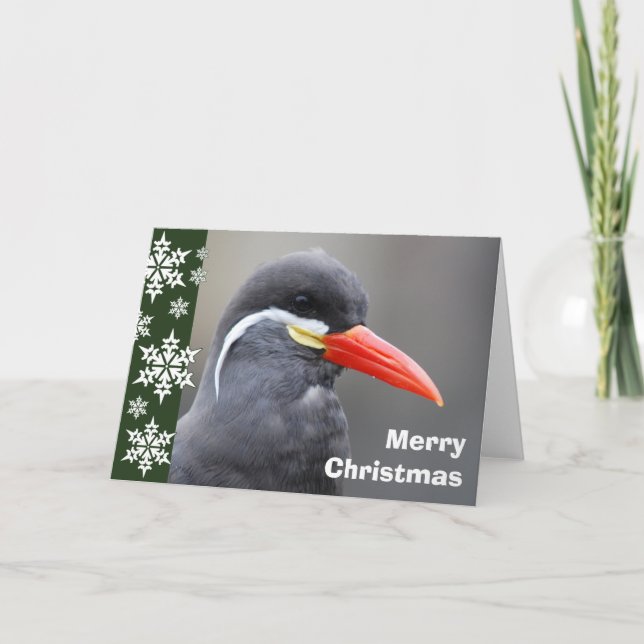 Inca Tern Christmas Card (Front)