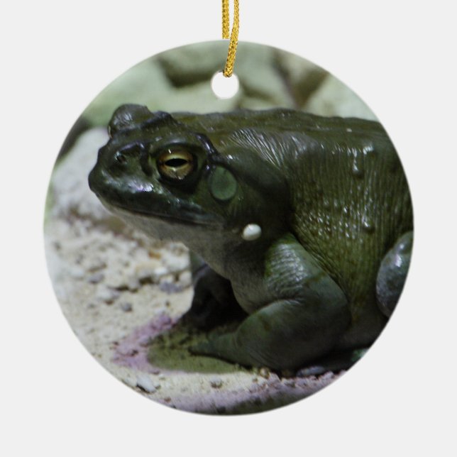 Incilius alvarius ceramic ornament (Front)