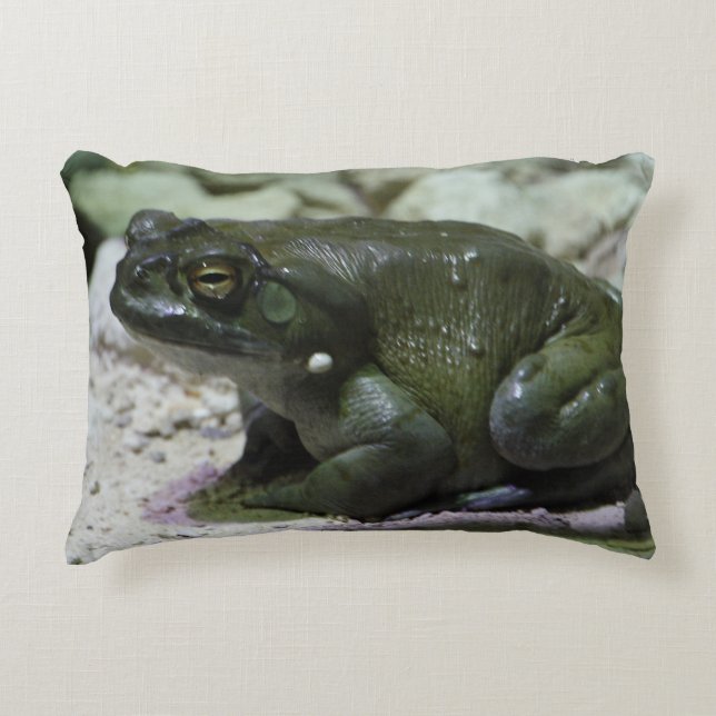 Incilius alvarius decorative cushion (Front)