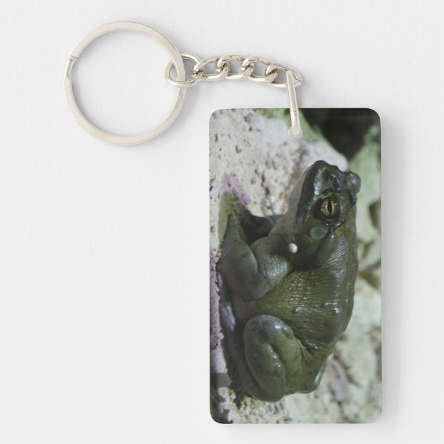 Incilius alvarius key ring (Front)