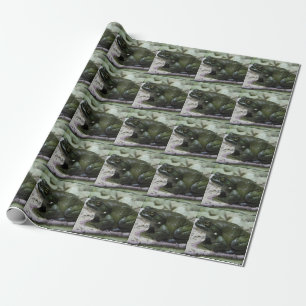 Incilius alvarius wrapping paper