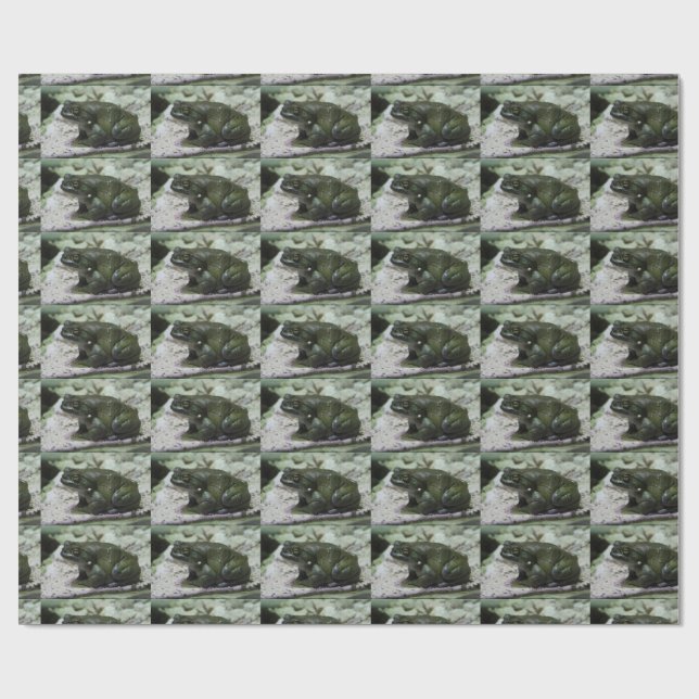 Incilius alvarius wrapping paper (Flat)