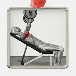 Incline Bench Press 3 Metal Tree Decoration
