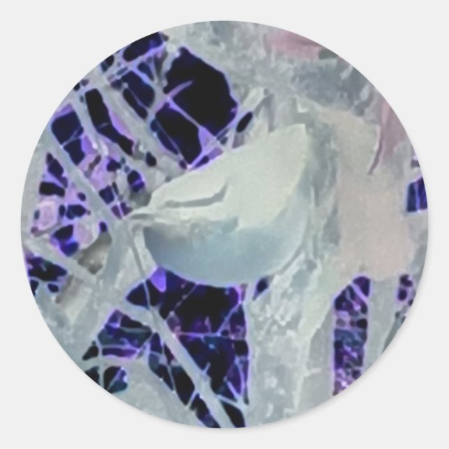 Incognito Bird Sticker (Front)