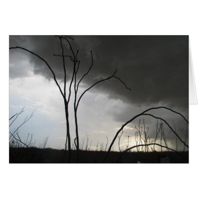 Incoming storm (Front Horizontal)