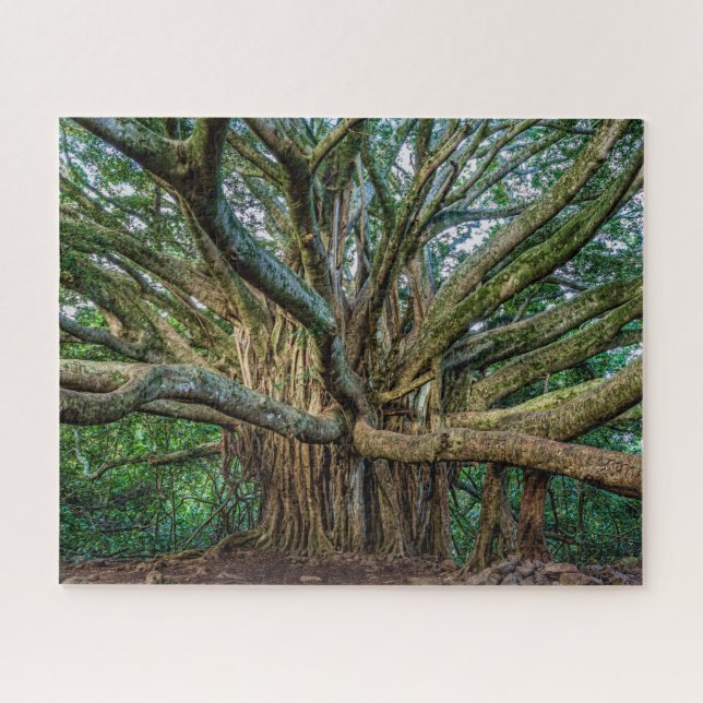 Incredible Banyan Tree Jigsaw Puzzle (Horizontal)