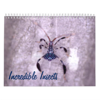 Incredible Insects Calendar