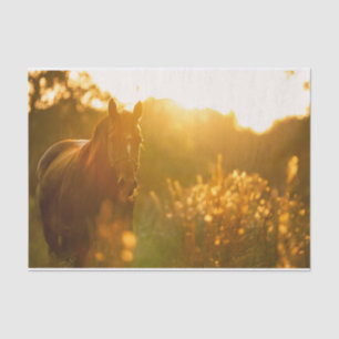 Incredibly Stunning Horse Bathed in Sunlight Tissue Paper