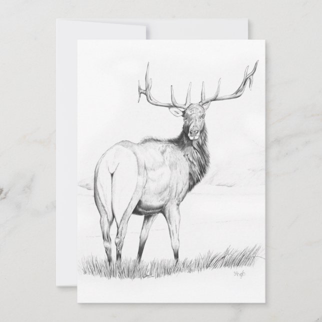 Indecision - 5" x 7" Invitation (Front)