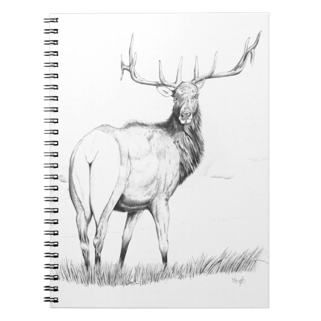 Indecision Notebook (Front)