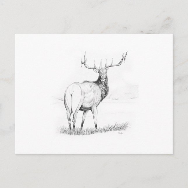 Indecision Postcard (Front)