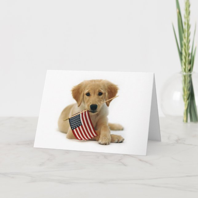 Independence Day Golden Retriever Puppy Card (Front)