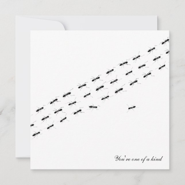 Independent Ants Postcard (Front)