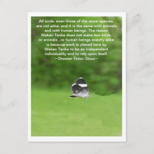 Independent Individuality Postcard