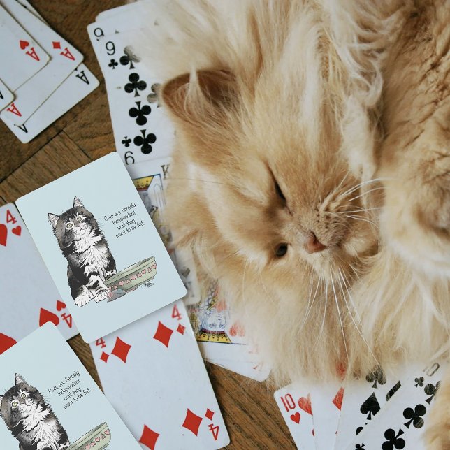Independent Kitten Bowl Funny Playing Cards (Creator Uploaded)