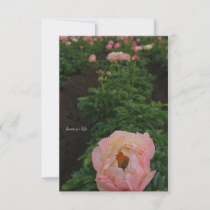 Independent Pink Peony Card
