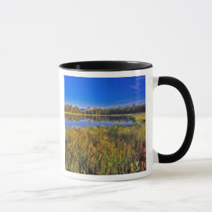 Index Peak reflects into Mud Lake on the Mug