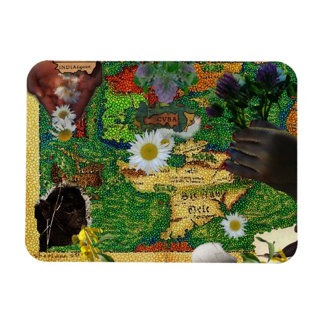 India & Cuba Magnet (Horizontal)