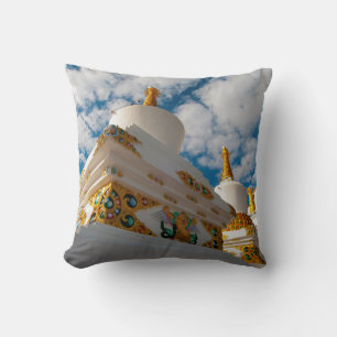 India, Jammu & Kashmir, Ladakh, Leh Cushion