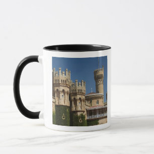 INDIA, Karnataka, Bangalore: Bangalore Palace Mug