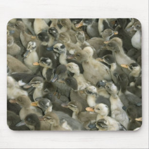 India Mouse Pad