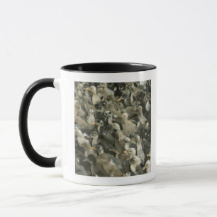 India Mug