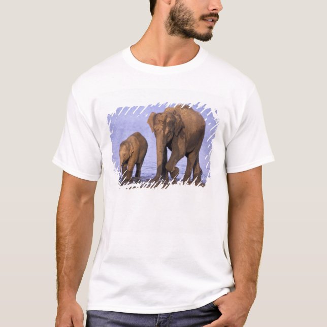 India, Nagarhole National Park. Asian elephant T-Shirt (Front)