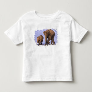 India, Nagarhole National Park. Asian elephant Toddler T-Shirt