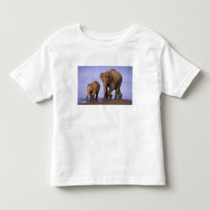 India, Nagarhole National Park. Asian elephant Toddler T-Shirt
