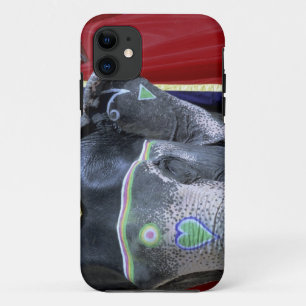 India, Rajasthan, Jaipur. Amber Fort. iPhone 11 Case