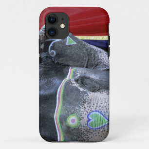 India, Rajasthan, Jaipur. Amber Fort. iPhone 11 Case