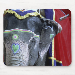 India, Rajasthan, Jaipur. Amber Fort. Mouse Pad