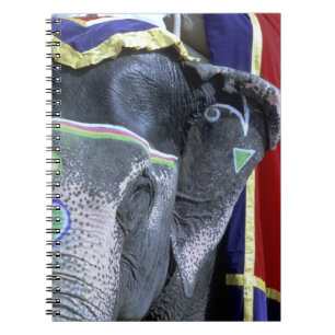 India, Rajasthan, Jaipur. Amber Fort. Notebook