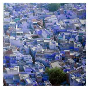 INDIA, Rajasthan, Jodhpur: Blue City of Jodhpur Tile
