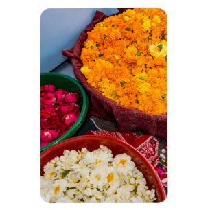 India, Rajasthan, Pipar Magnet