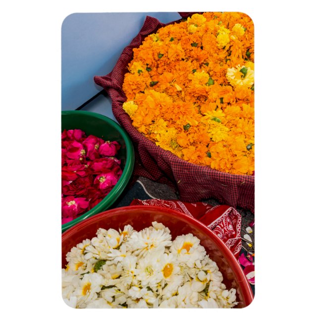 India, Rajasthan, Pipar Magnet (Vertical)